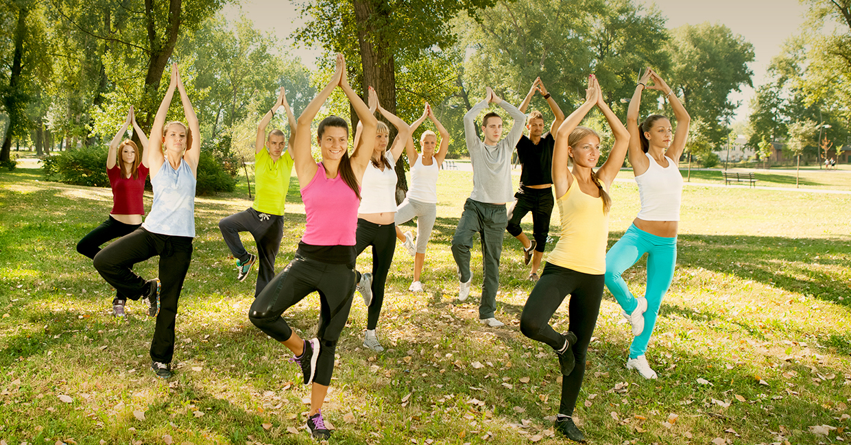 classe position arbre dans un parc