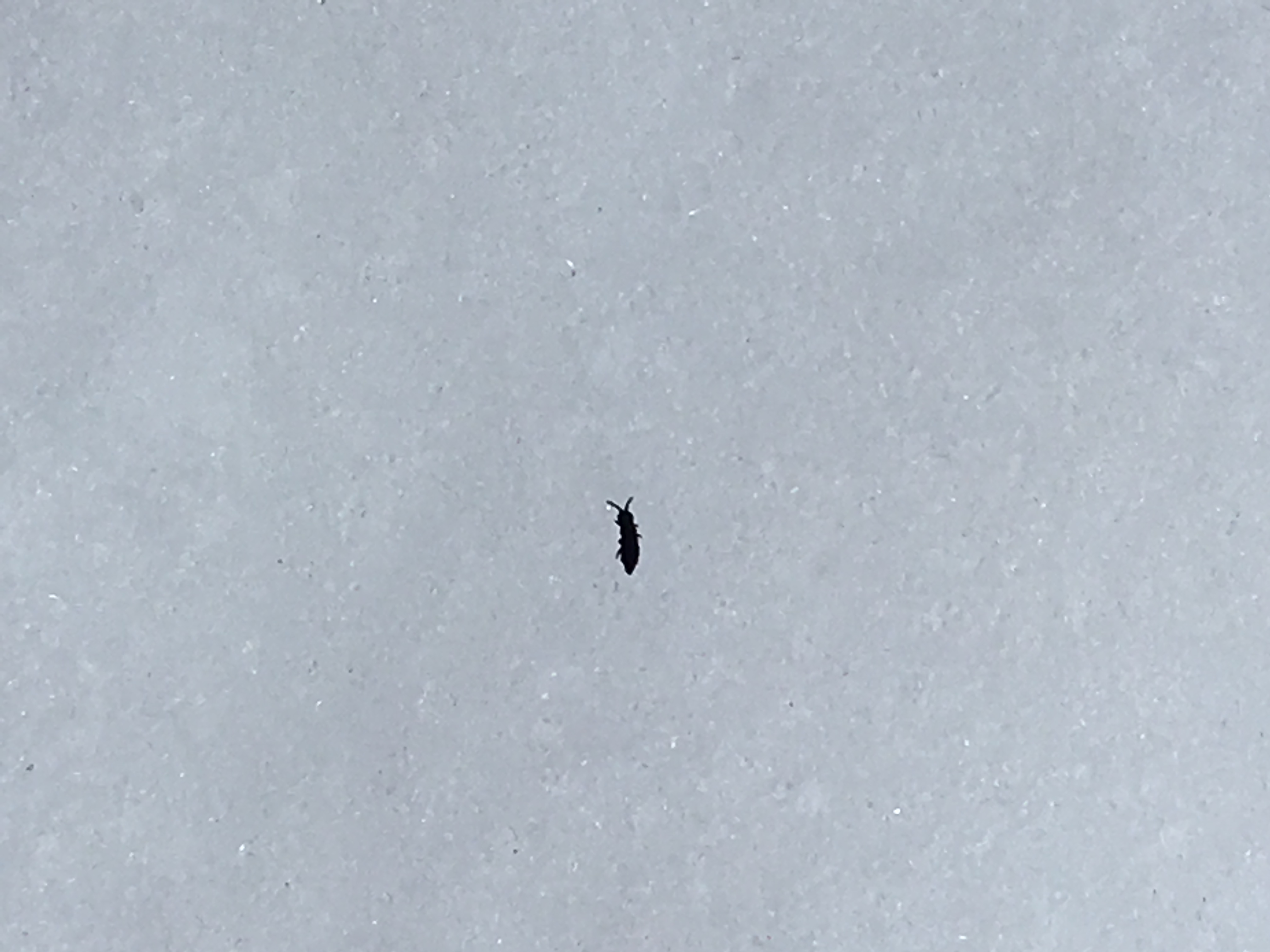 inconnu_11fevr2018_st_hilaire